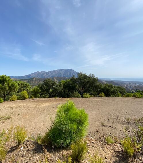 Grand terrain exclusif avec vues panoramiques à Elite Zagaleta