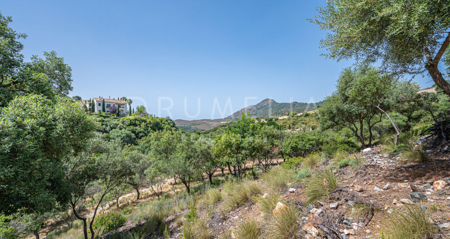 Exquisite Plot with the possibility of a Turnkey Project in La Zagaleta, Benahavís