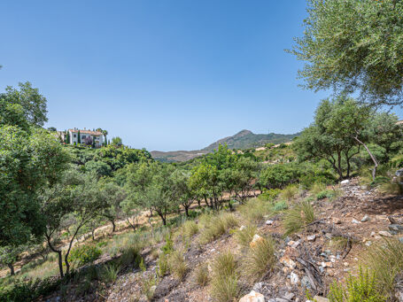 Exquisite Plot with the possibility of a Turnkey Project in La Zagaleta, Benahavís