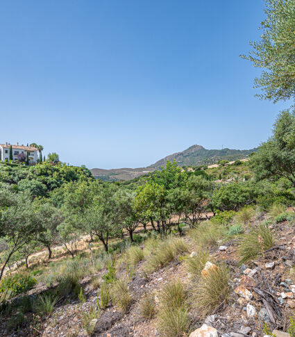 Exquisite Plot with the possibility of a Turnkey Project in La Zagaleta, Benahavís