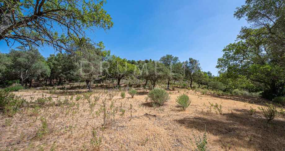 Exquisite Plot with the possibility of a Turnkey Project in La Zagaleta, Benahavís