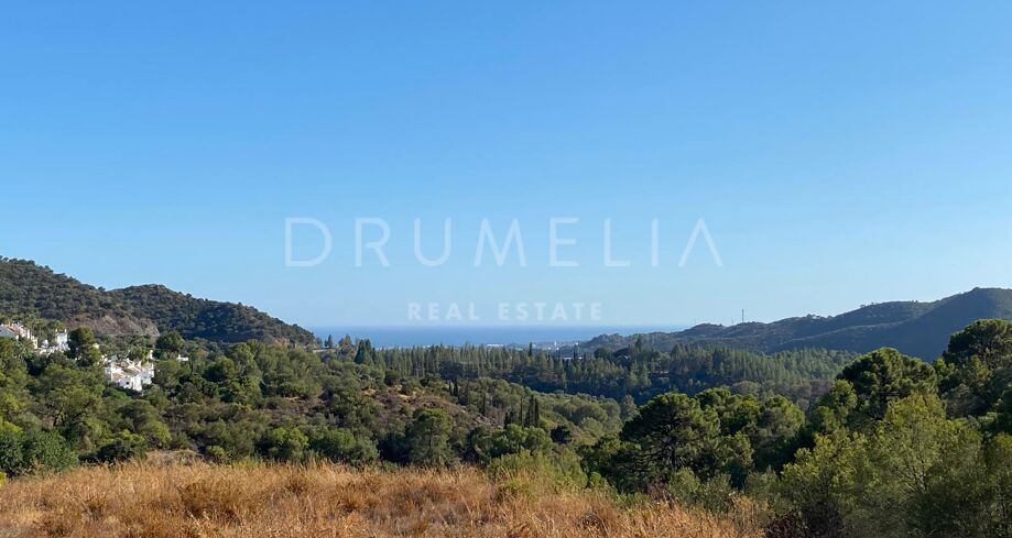 Exceptional Opportunity: 20,000m² Plot with Stunning Panoramic Sea Views in Istan