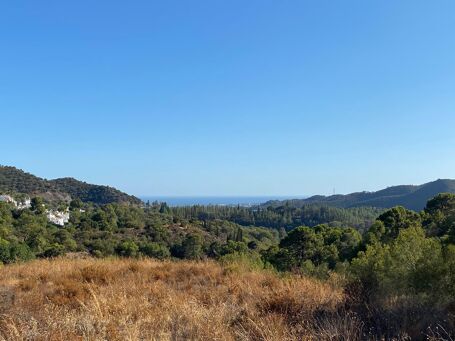Opportunité Exceptionnelle : Terrain de 20 000m² avec vue Panoramique sur la Mer à Istan