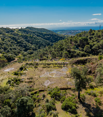 Parcela Urbana Exclusiva con Proyecto Aprobado en La Zagaleta, Benahavís