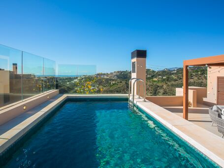 Penthouse with Rooftop Plunge Pool in Real de la Quinta