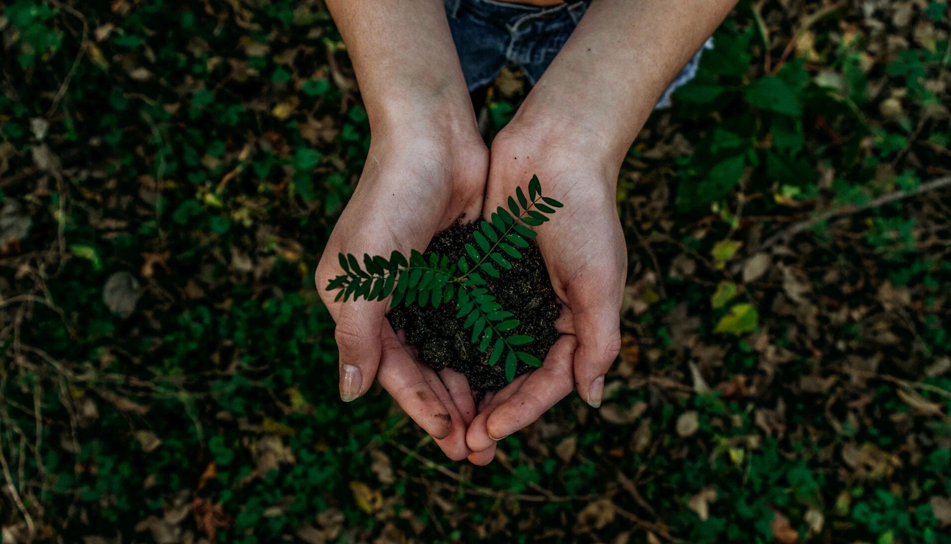 Sustainability in luxury real estate