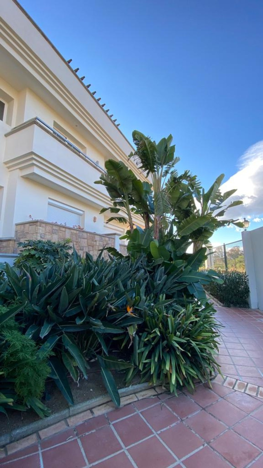Penthouse for short term rent in Estepona