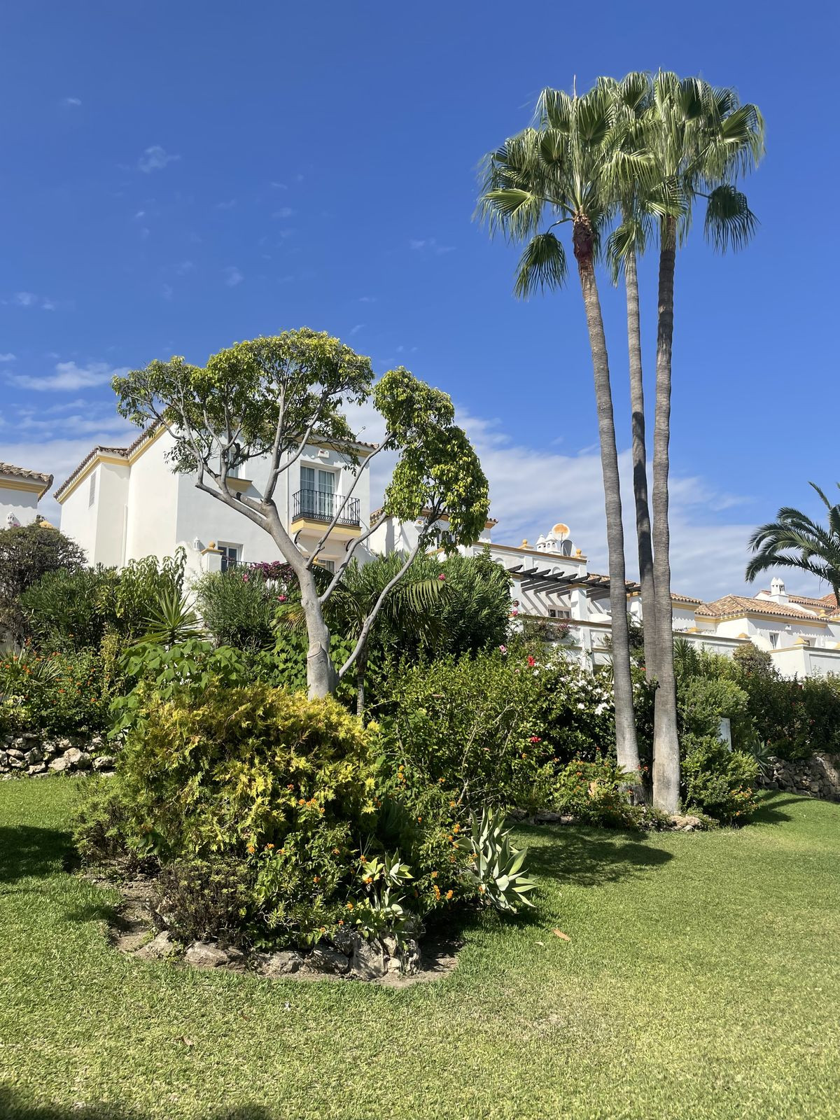 Penthouse for long term rent in Estepona