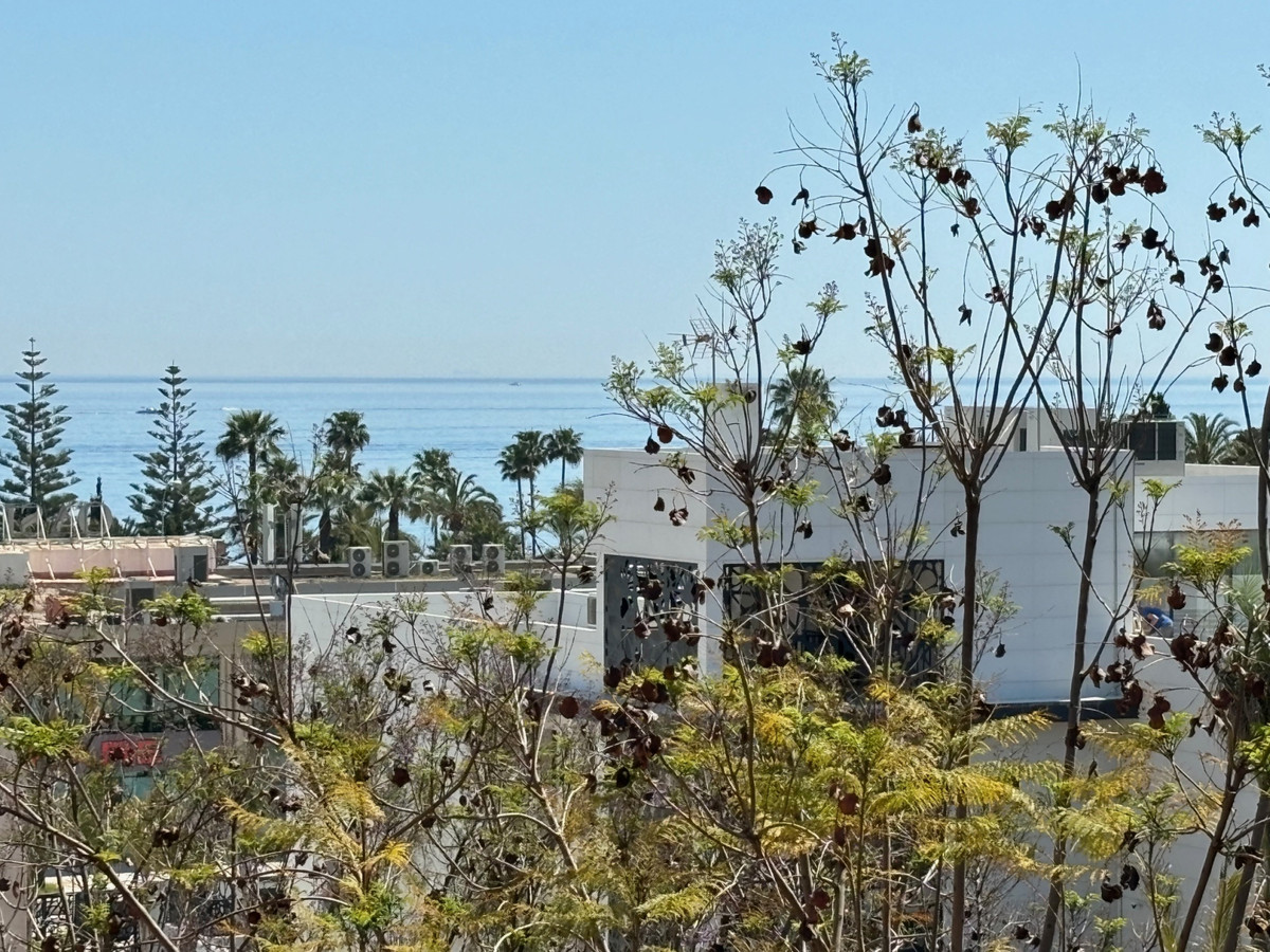Penthouse for short term rent in Marbella