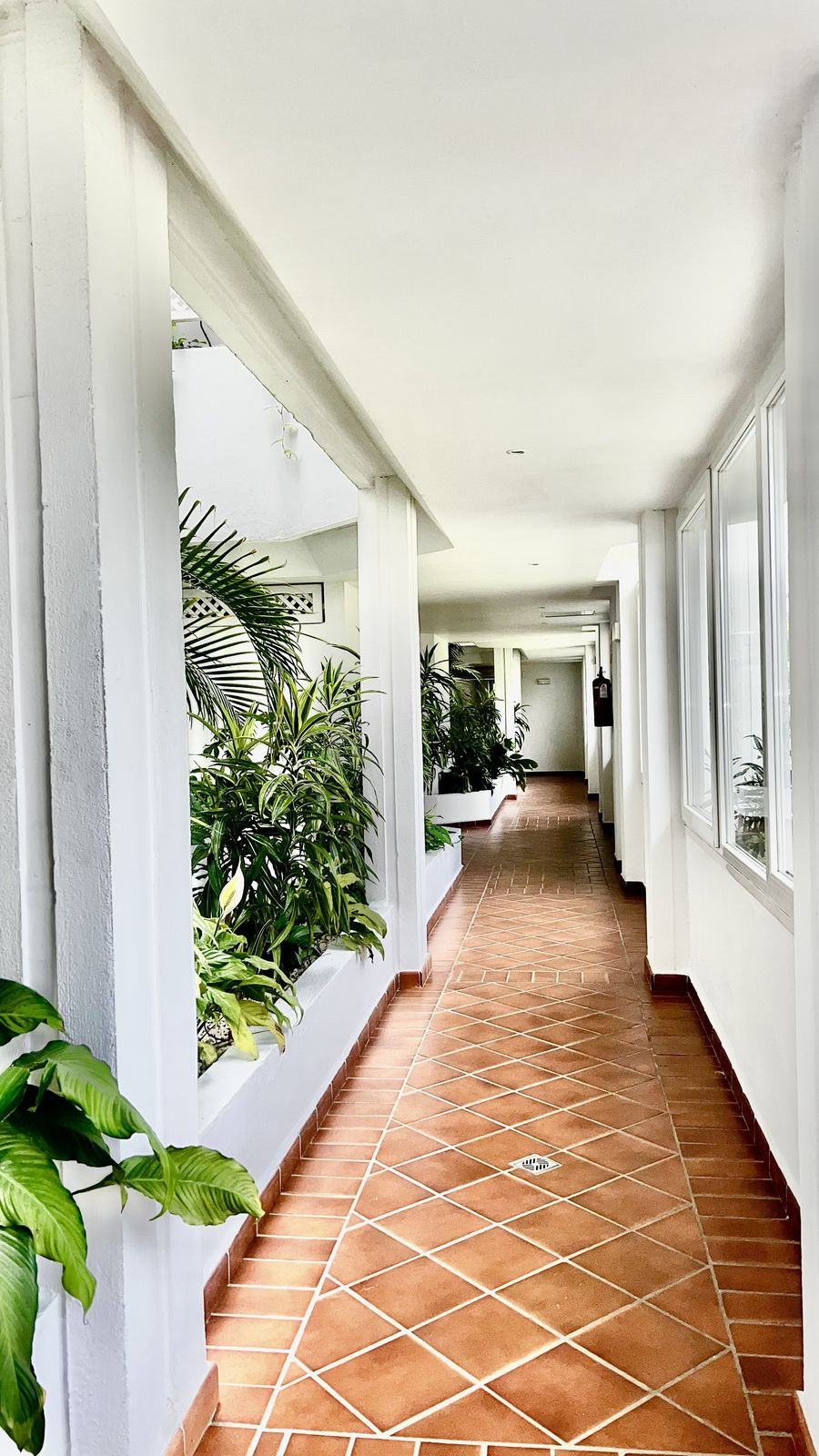 Apartment for rent in Marbella - Puerto Banus