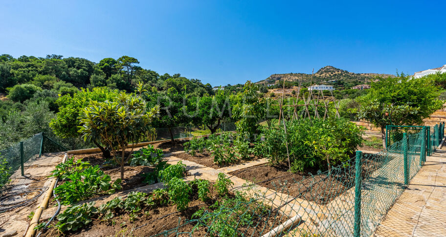 Prächtige stilvolle Frontline-Golf-Luxus-Villa, Marbella Club Resort, Benahavis