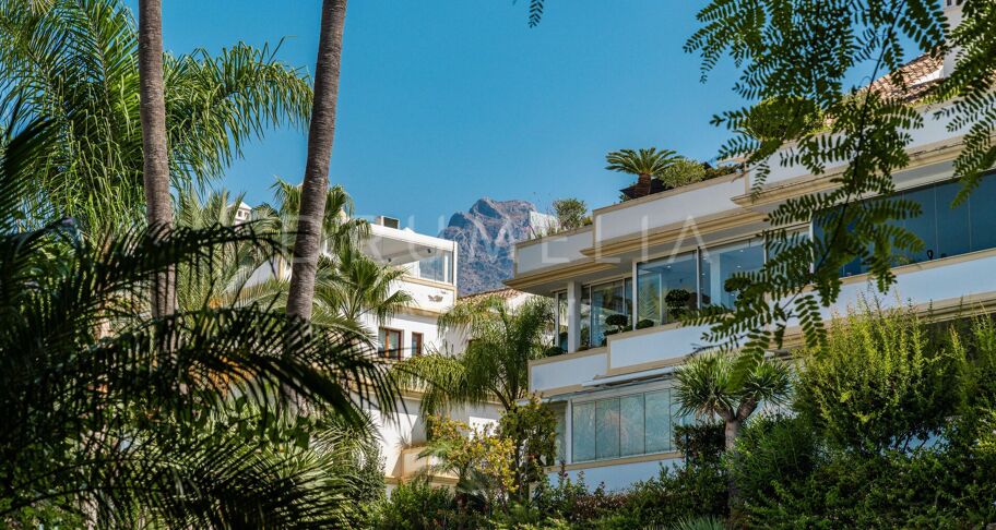 Renovated Penthouse with Style and Privacy in Lomas del Rey