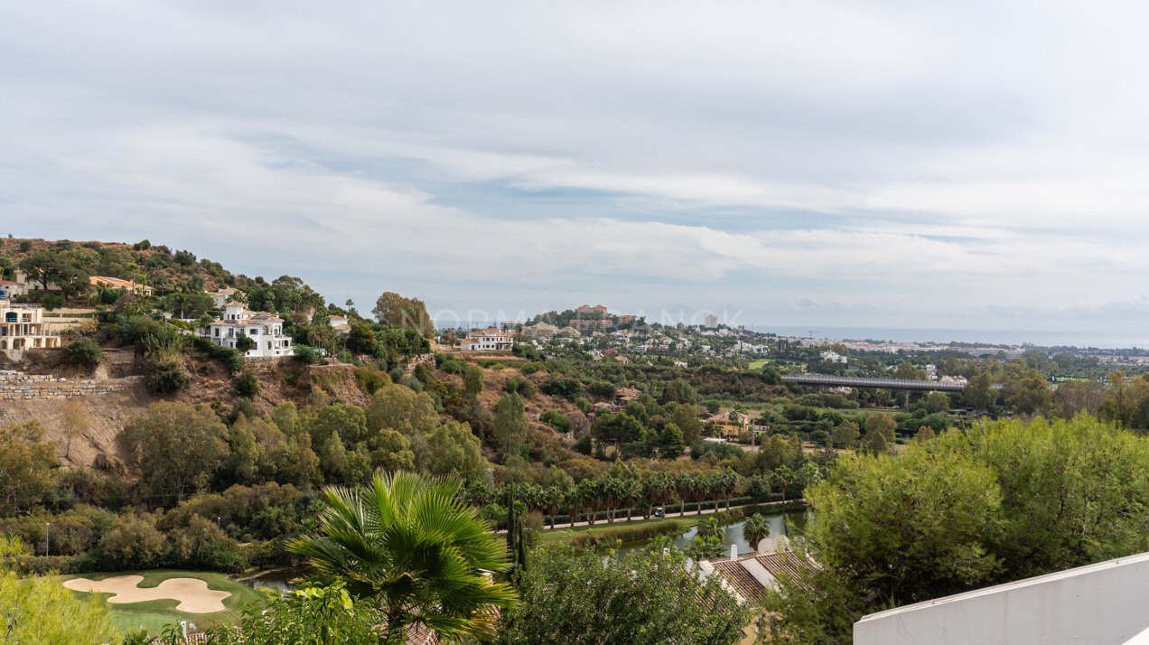 Mirador 35