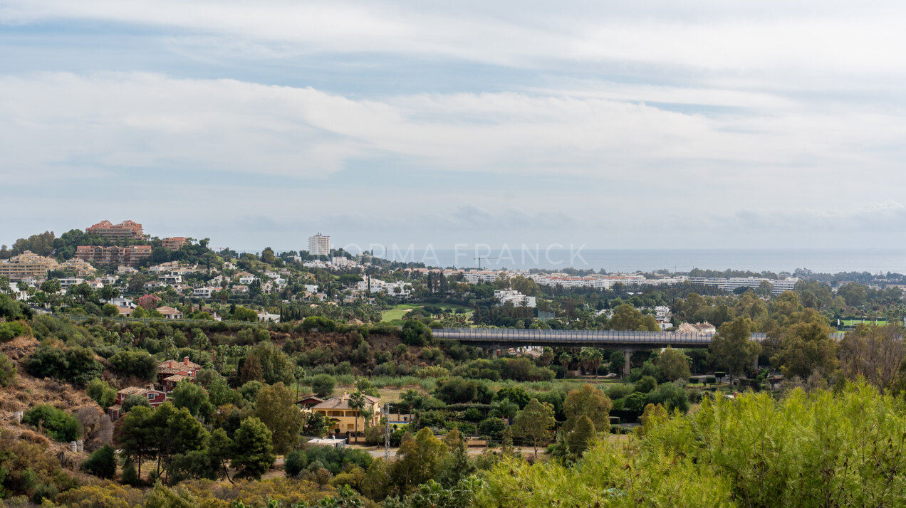 Mirador 35