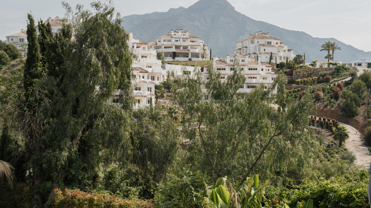 Villa Elara