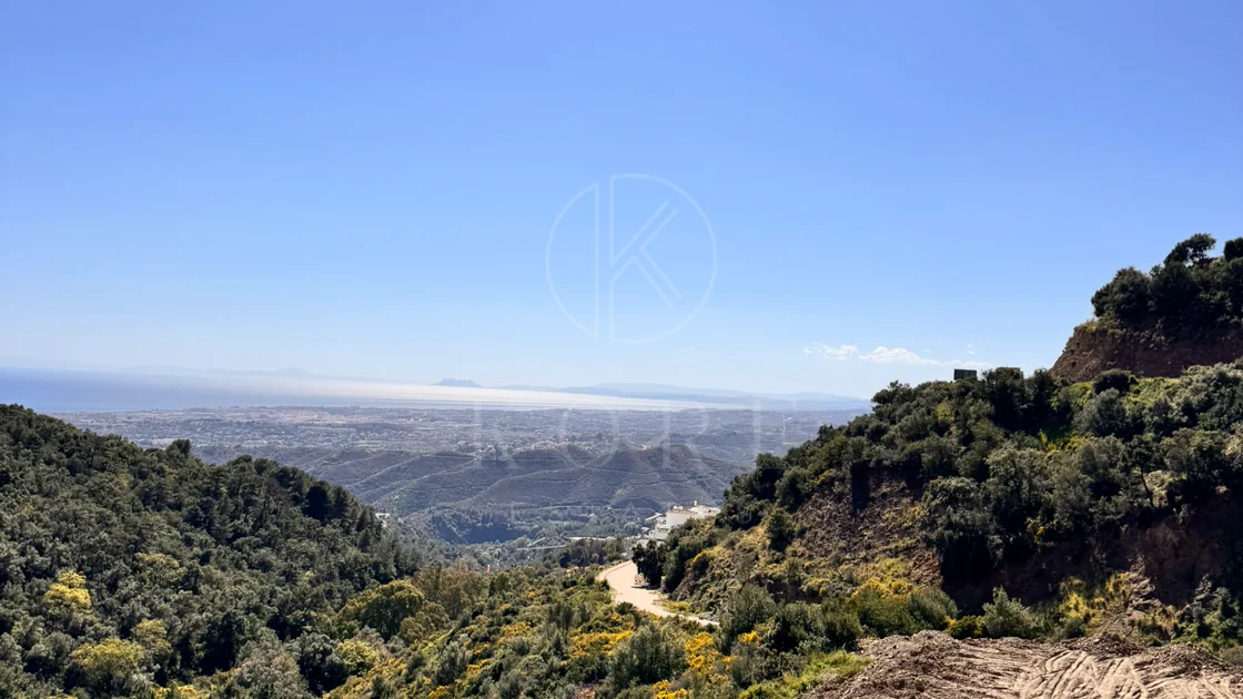Parcela Obra Nueva