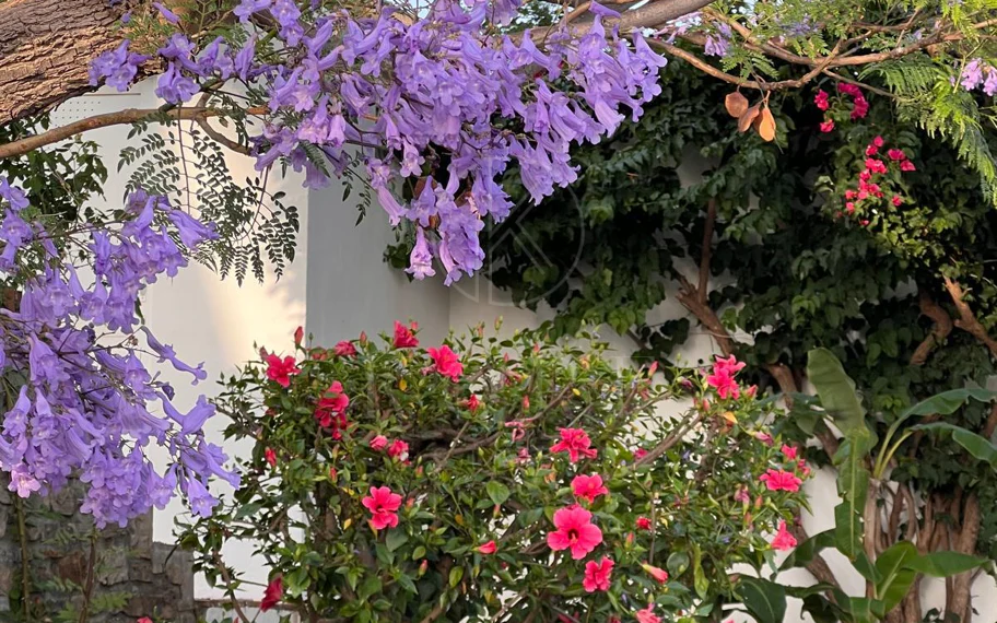 Encantadora villa con vistas panorámicas al mar en Puerto Romano, Estepona