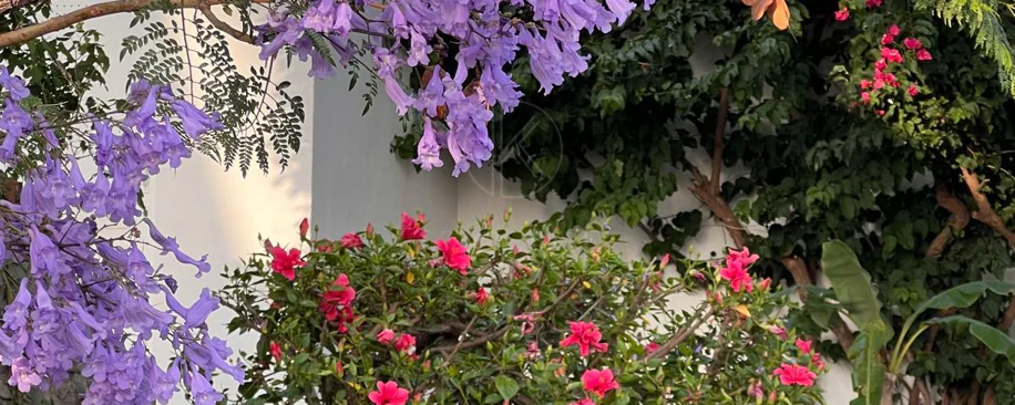 Encantadora villa con vistas panorámicas al mar en Puerto Romano, Estepona