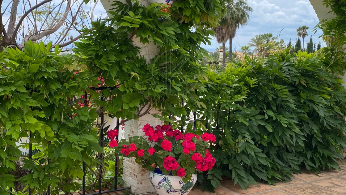 Encantadora villa con vistas panorámicas al mar en Puerto Romano, Estepona