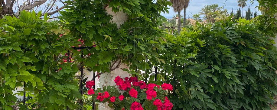 Encantadora villa con vistas panorámicas al mar en Puerto Romano, Estepona