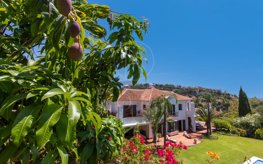 Villa exclusiva en parcela llana de 3.000 m², con absoluta privacidad, vistas al mar, jardín maduro con frutales, piscina, amplias terrazas y vivienda completamente renovada. Excelente ubicación, equipamiento y capacidad de aparcamiento.