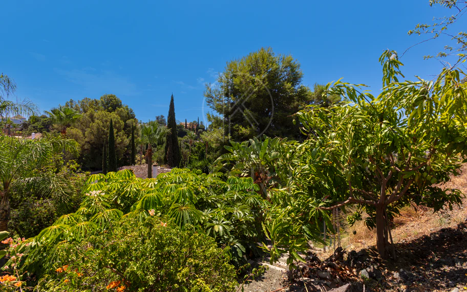 Villa exclusiva en parcela llana de 3.000 m², con absoluta privacidad, vistas al mar, jardín maduro con frutales, piscina, amplias terrazas y vivienda completamente renovada. Excelente ubicación, equipamiento y capacidad de aparcamiento.