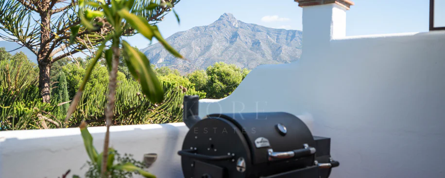 Banús 15 - Duplex Penthouse in Alcazaba Gardens, Puerto Banús