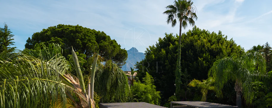 Contemporary Luxury Villa with Exceptional Outdoor Living in Las Brisas
