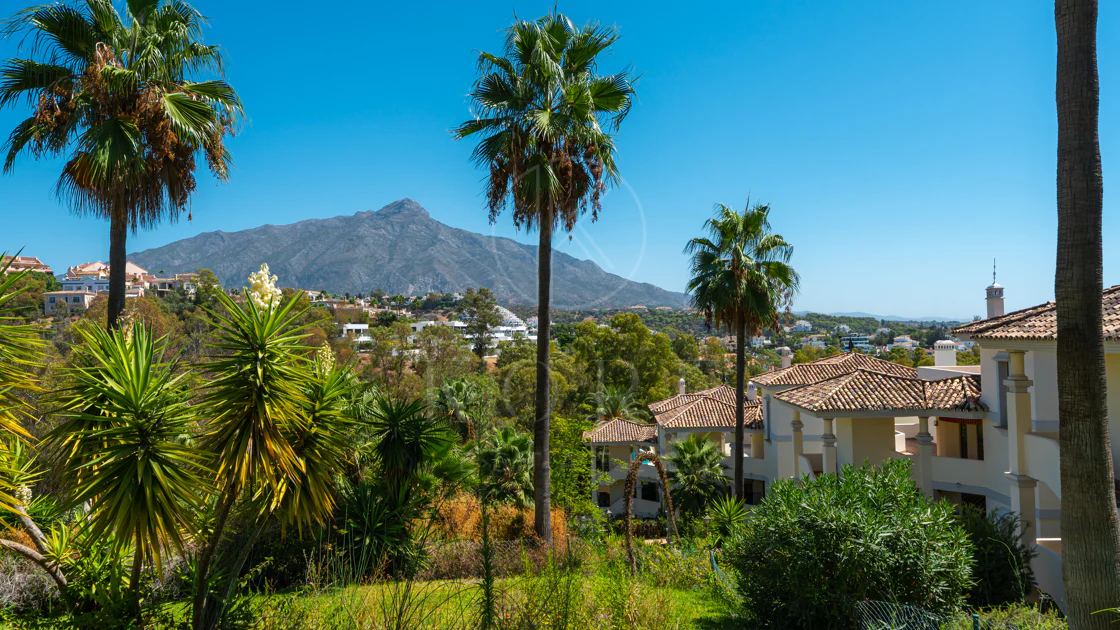 Elegant Renovated Apartment in Palacetes Los Belvederes