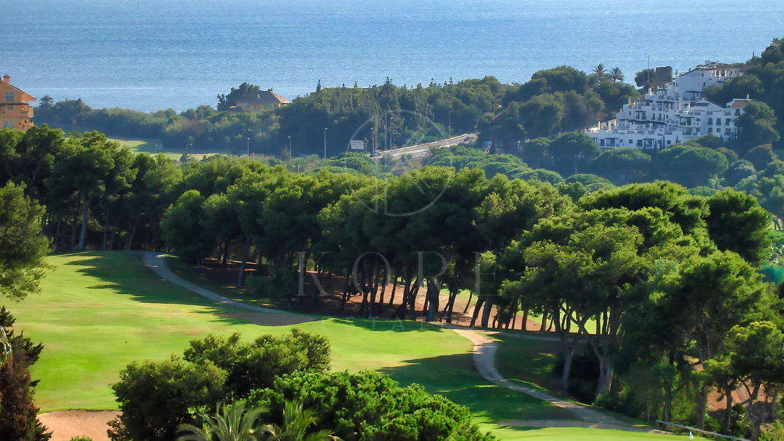 Villa for sale in Rio Real Golf, Marbella East