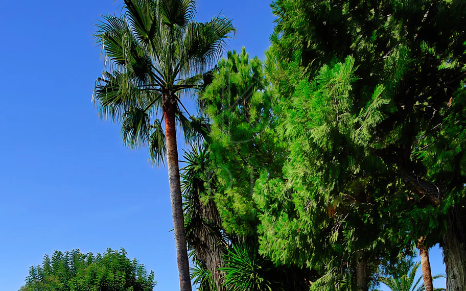 Villa en venta en Rio Real Golf, Marbella Este