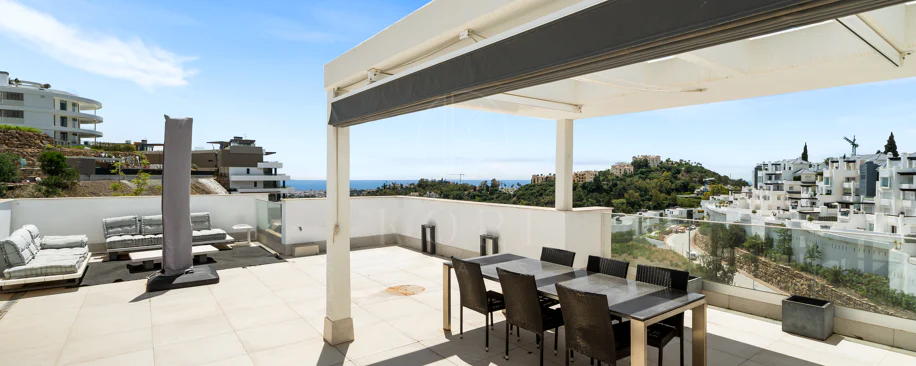 Bright and thoughtfully designed apartment in La Quinta