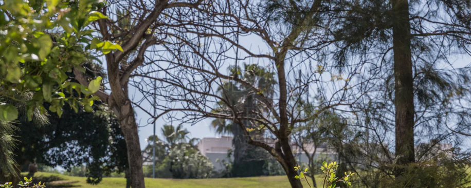 Ground Floor Apartment for sale in La Quinta, Benahavis