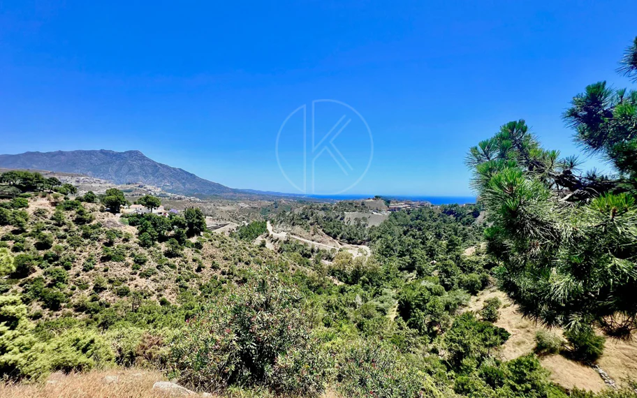 Parcela con Proyecto Aprobado para Villa de Lujo en El Madroñal
