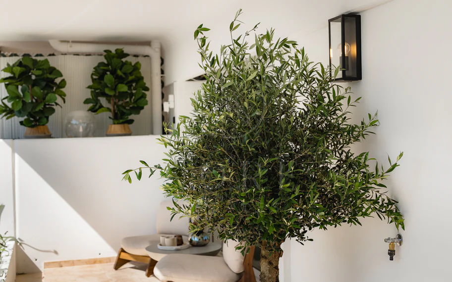 Excepcional apartamento de lujo completamente renovado en la Milla de Oro de Marbella con vistas al Mediterráneo.