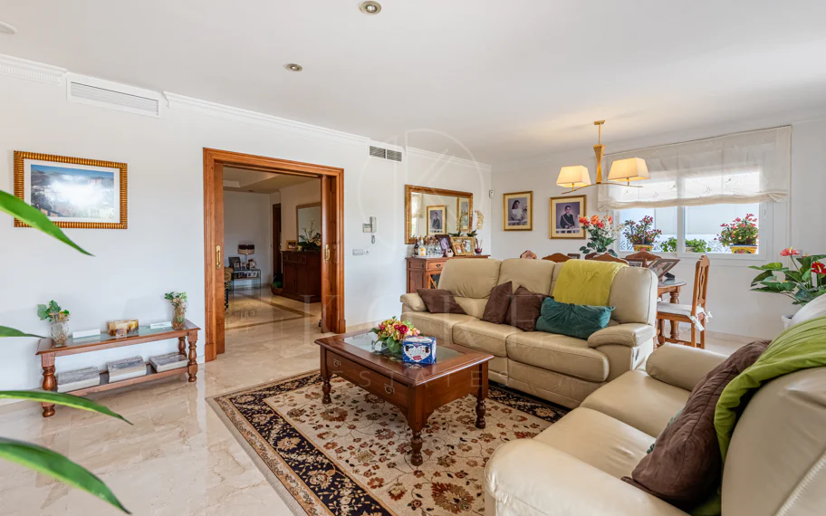 Spacious Villa in central San Pedro! With 3 separate apartments and garage for 10 cars.
