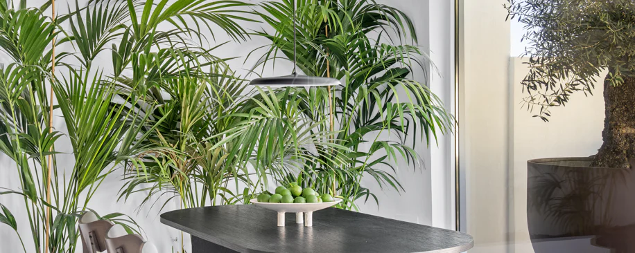 Bine ați venit în această casă fermecătoare cu spațiu de locuit exterior privat și piscină, cu un design minimalist și elegant inspirat din sudul Italiei.
