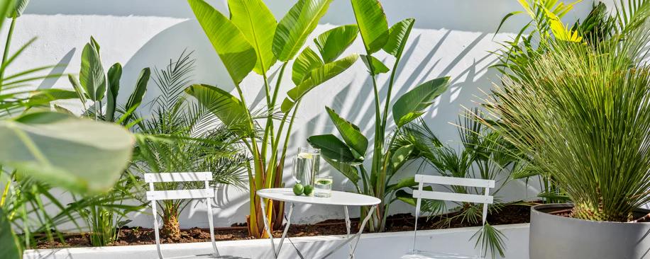 Bine ați venit în această casă fermecătoare cu spațiu de locuit exterior privat și piscină, cu un design minimalist și elegant inspirat din sudul Italiei.