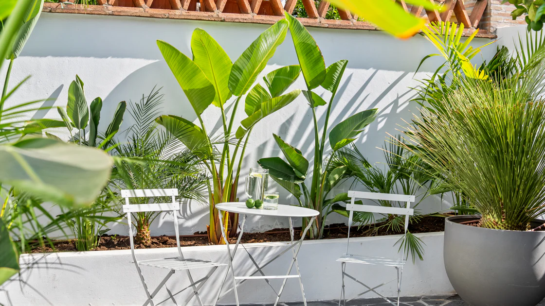 Bine ați venit în această casă fermecătoare cu spațiu de locuit exterior privat și piscină, cu un design minimalist și elegant inspirat din sudul Italiei.