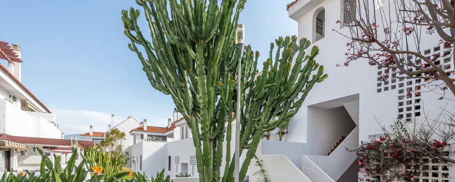 Apartament superb renovat cu trei dormitoare, orientat spre est, situat în unul dintre cele mai dorite complexe din Nueva Andalucia, La Maestranza.