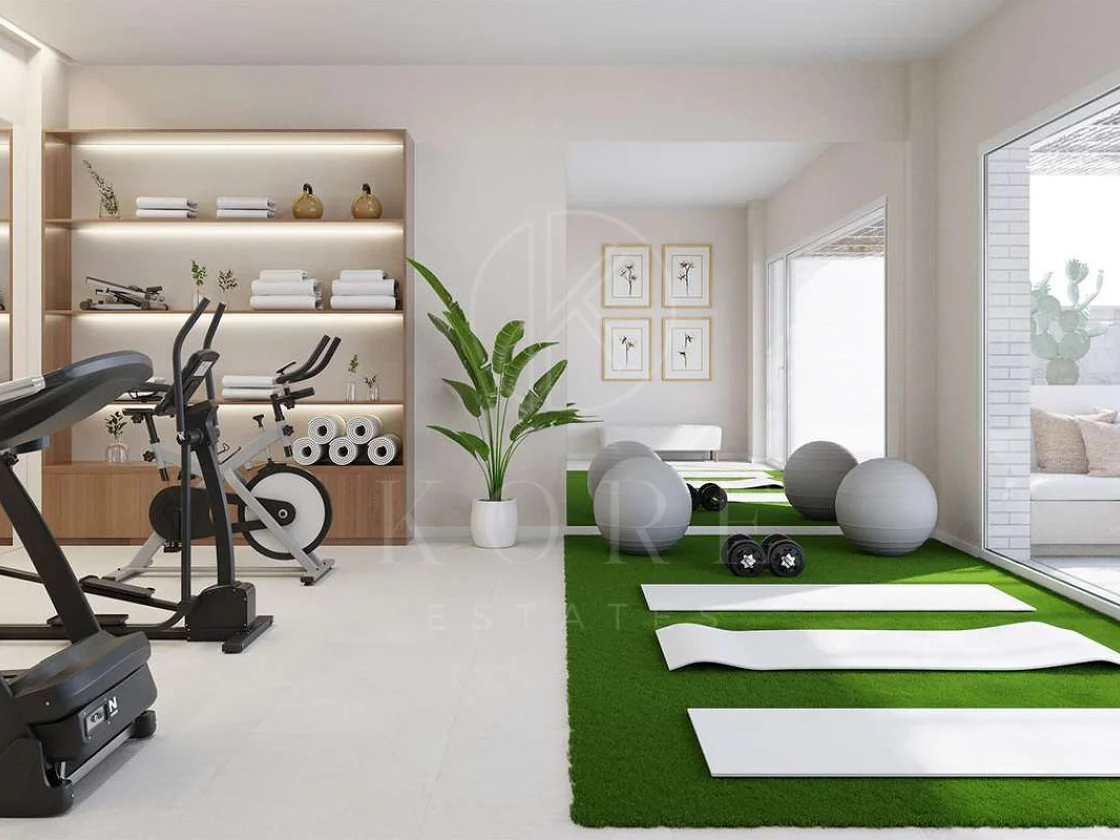 Development in Nueva Andalucia, Marbella
