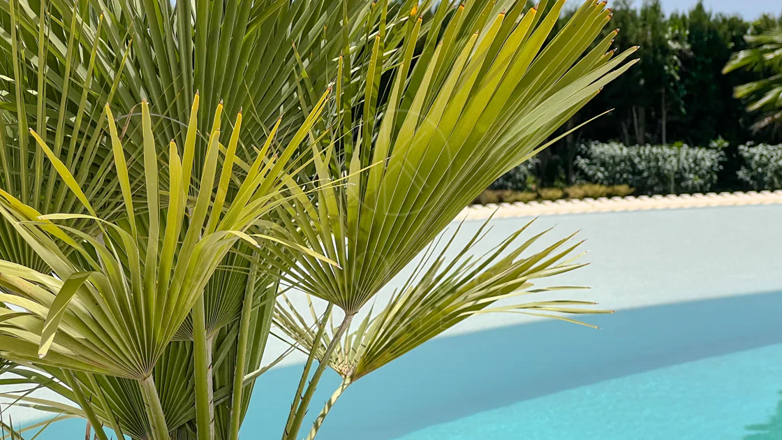 Fantastic modern villa with amazing panoramic sea views in La Zagaleta
