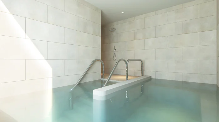 Luxury Homes in Calanova, Mijas Costa