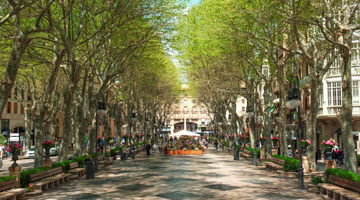 Cor 39: New apartments for sale in the centre of Palma, Mallorca