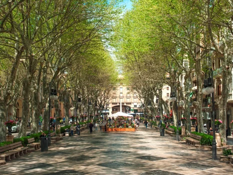 Cor 39: New apartments for sale in the centre of Palma, Mallorca