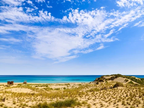 Oliu, new apartments and townhouses in Capdepera