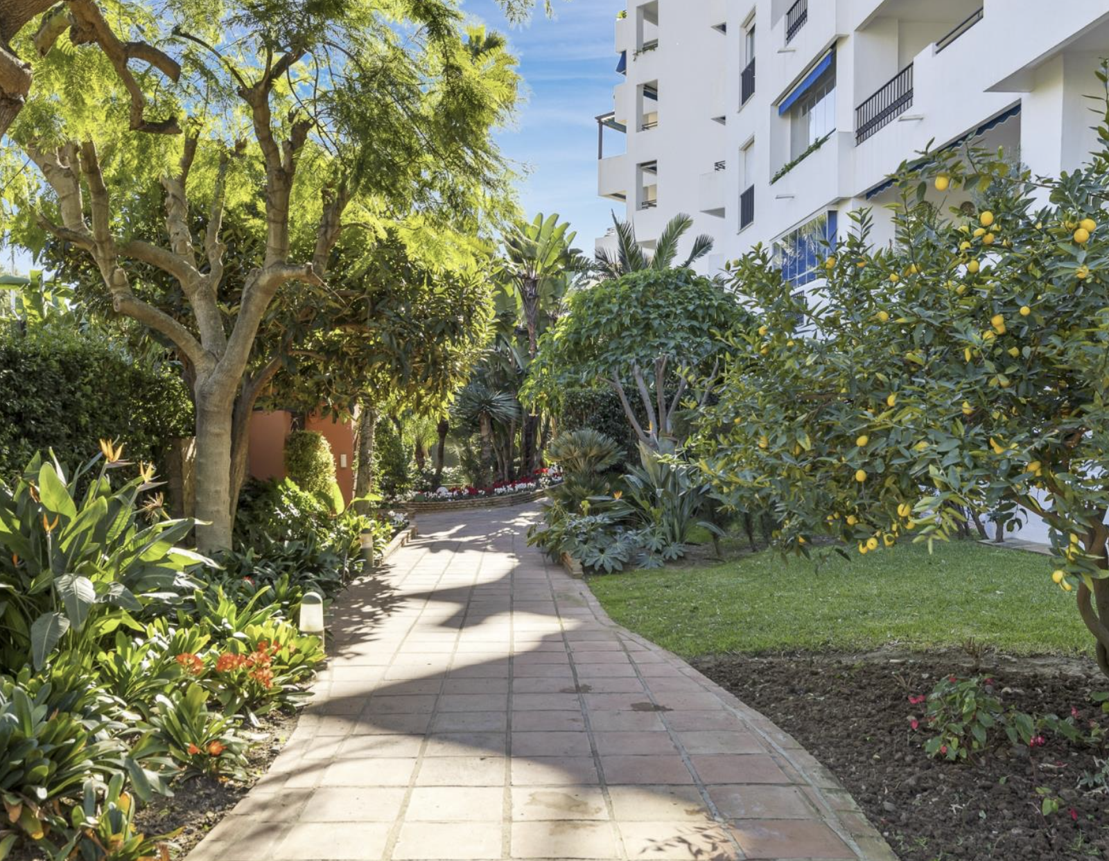 Charming renovated studio in Medina Garden, Puerto Banús with tourist licence