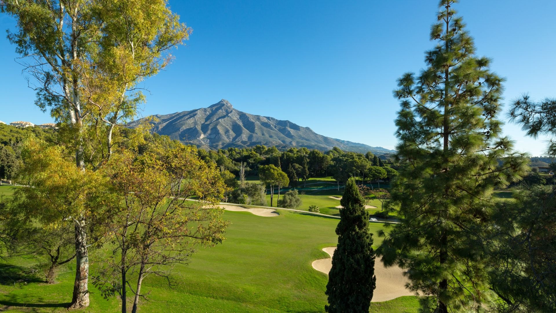 Aloha, Nueva Andalucia