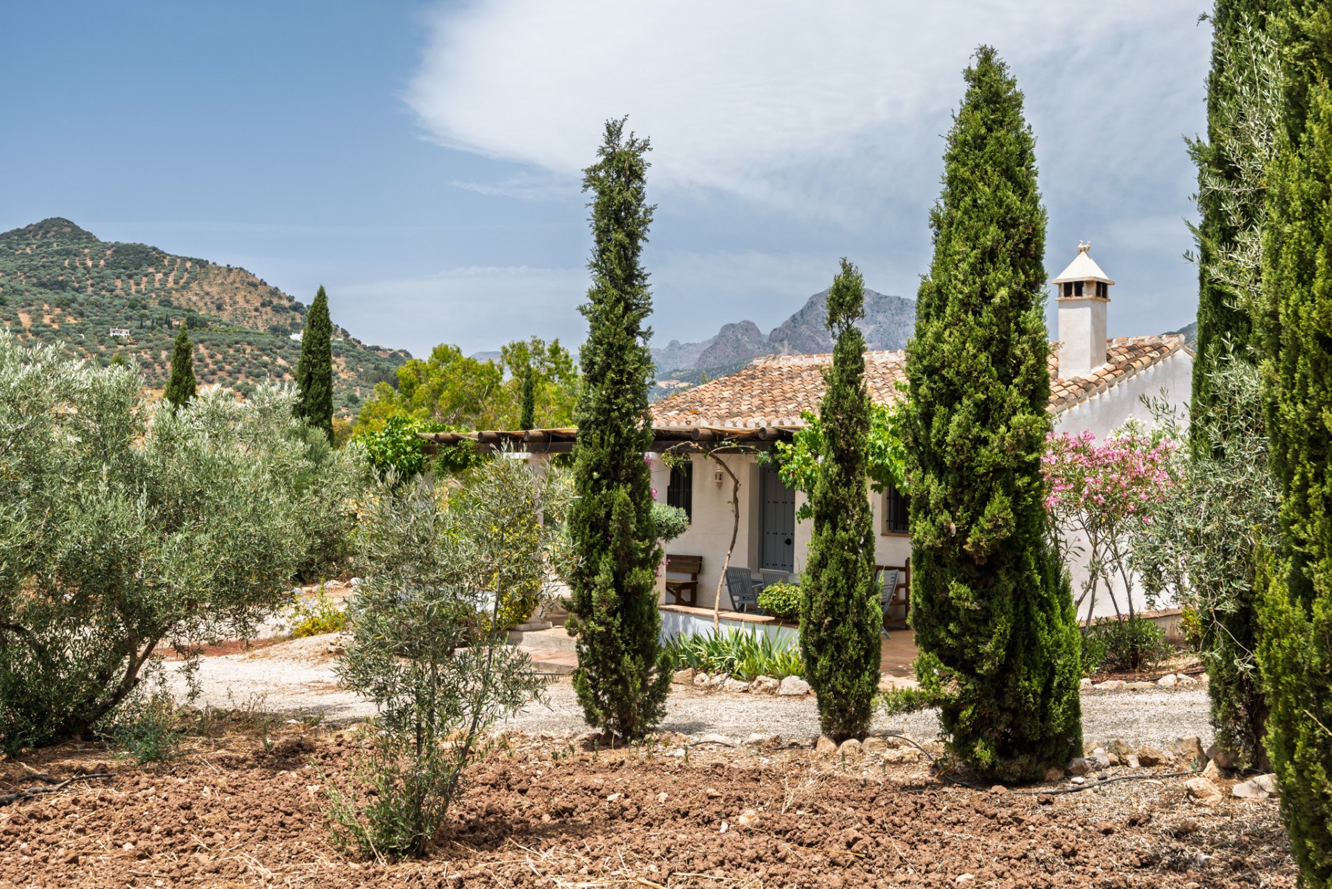 Casa Rosa, a captivating Andalusian estate with timeless charm