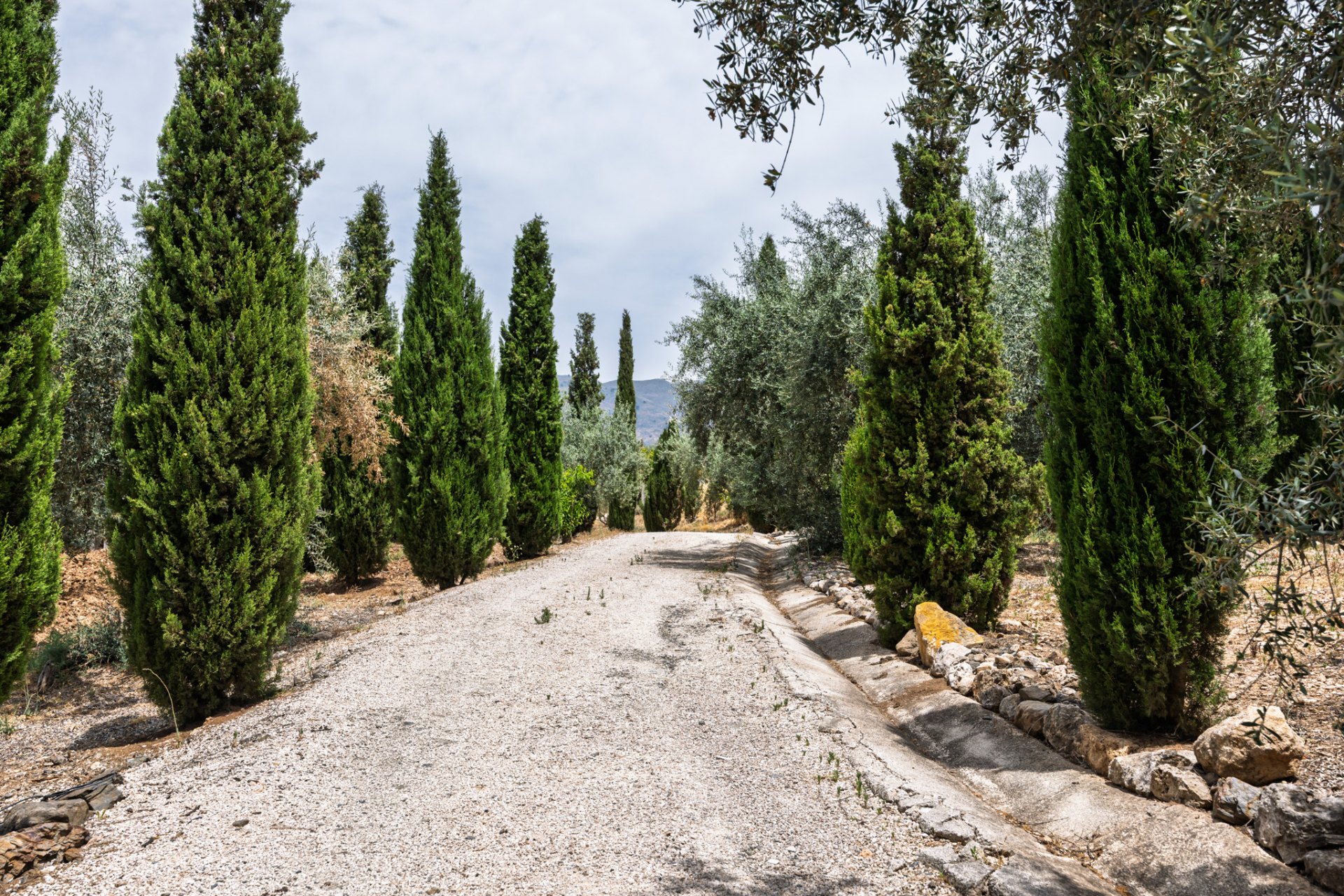 Casa Rosa, a captivating Andalusian estate with timeless charm